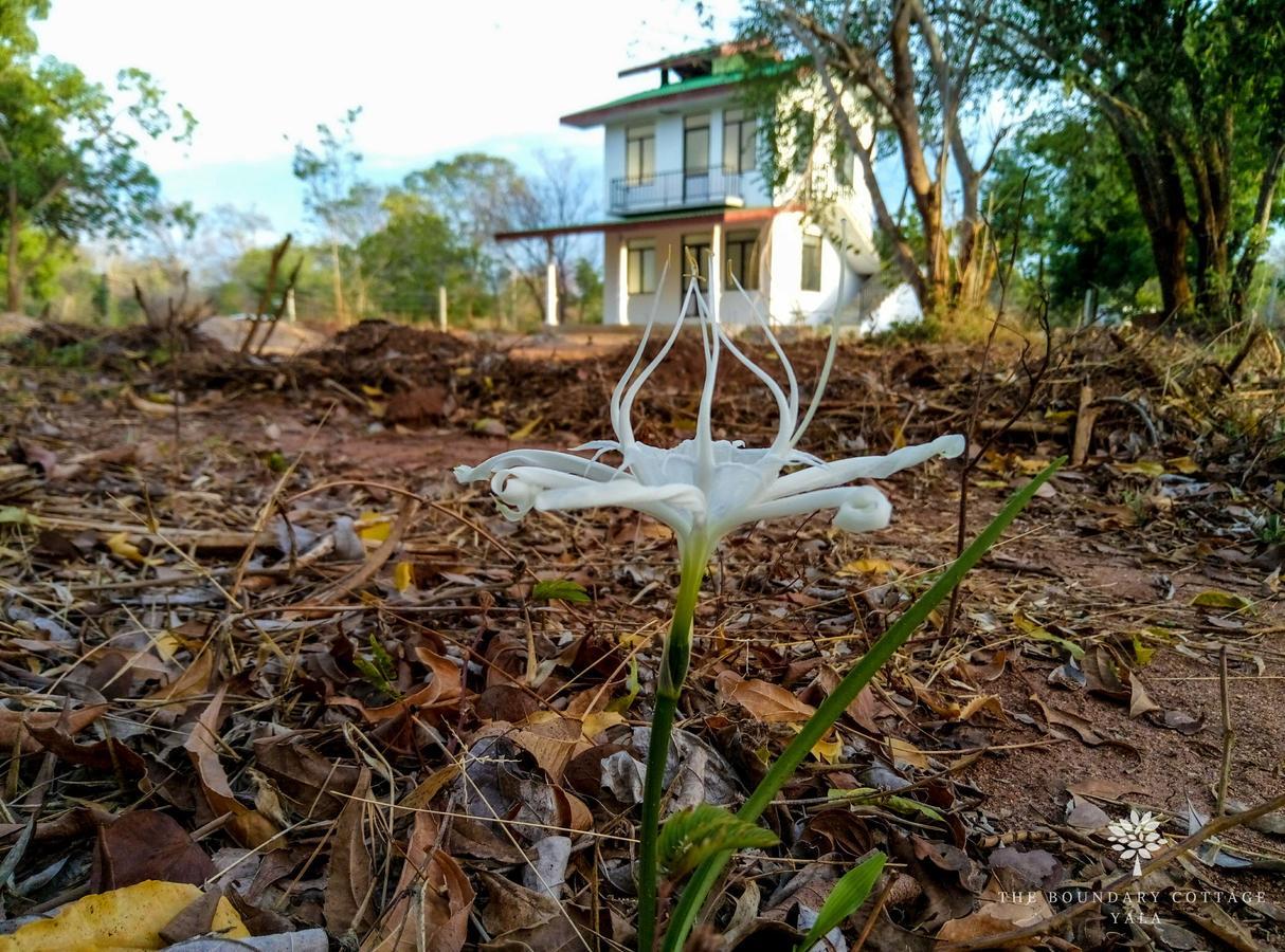 The Boundary Yala Hotel Kataragama Buitenkant foto